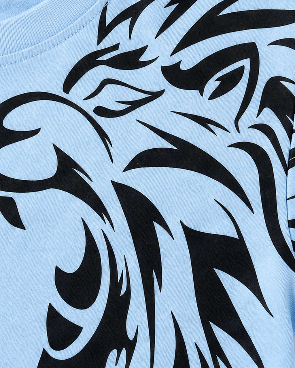 Little Lion Graphic Tee 2Pc set